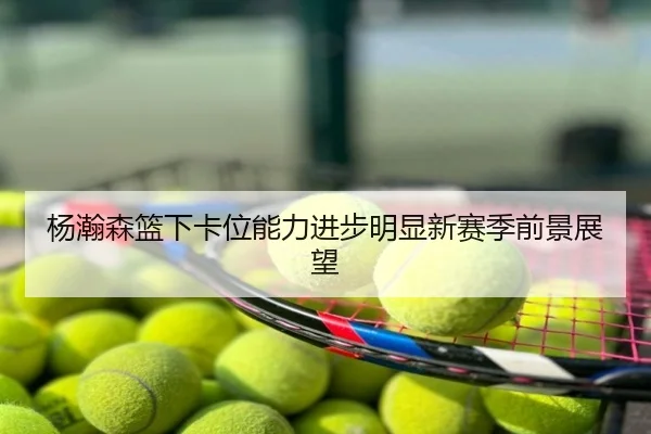 杨瀚森篮下卡位能力进步明显新赛季前景展望